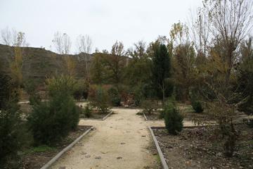 Imagen El Ayuntamiento de San Esteban de Litera recibe una subvención del INAEM para actuar en la zona del jardín botánico y el área de los 'pinetes'